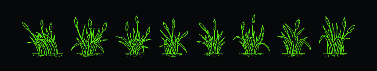 set of cattail cartoon icon design template with various models. vector illustration isolated on black background