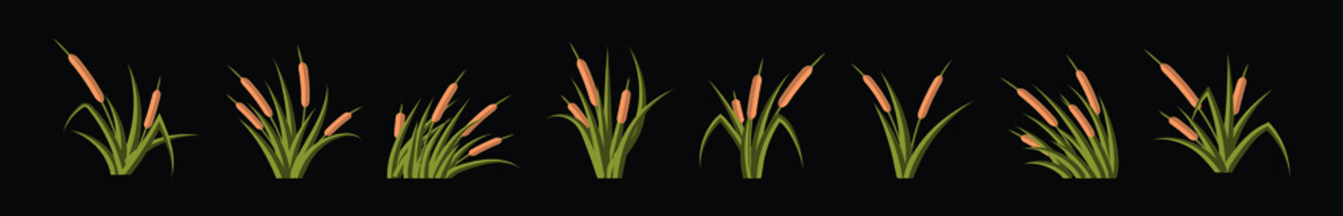set of cattail cartoon icon design template with various models. vector illustration isolated on black background
