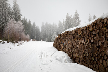 stockpiled logs covered by snow in winter forest fairytale wonderland