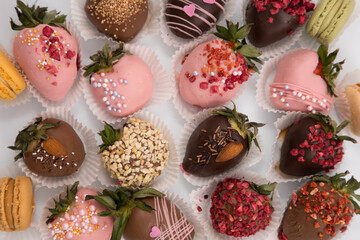 Variety of strawberries covered with chocolate with macaron, dark and white chocolate and nuts, on a isoleted background