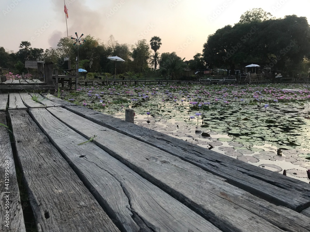 Wall mural wooden bridge and lotus pond