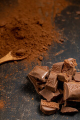 Different pieces of dark chocolate and cocoa powder on a dark surface. Space for text
