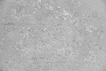 Gray loose acrylic paint texture with white and dark stains. Background, substrate.