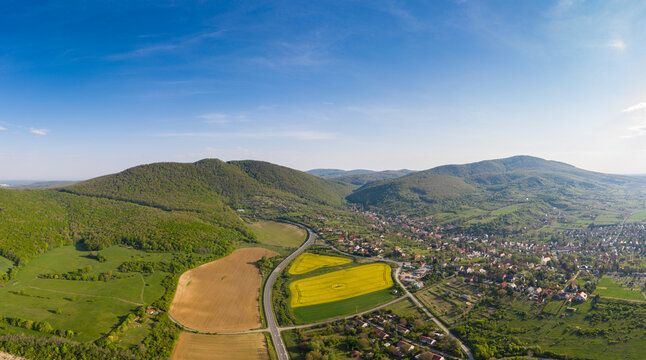 Yellow Canola Field With Mecsek Hills