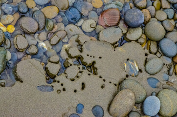 Round colored stones on the wide shore of the Pacific Ocean in Olympic National Park, Washington, USA