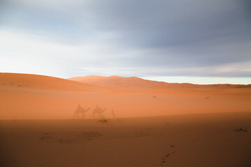 A camelback caravan excursion casts shadows on the golden desert sand dunes of Erg Chebbi near the village of Merzouga in southeastern Morocco.