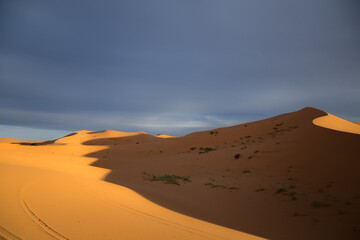 Fototapeta na wymiar Dramatic shadow and light over the desert sand dune landscape of Erg Chebbi near the village of Merzouga in southeastern Morocco.