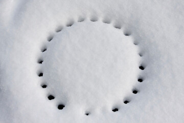 Eingeschneiter Gullideckel