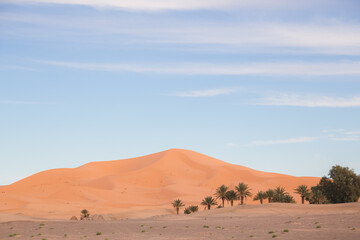 Fototapeta na wymiar The desert sand dune landscape of Erg Chebbi near the village of Merzouga in southeastern Morocco.