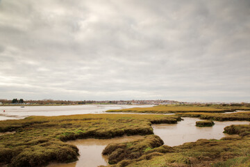 marshland of essex england on a over cast day