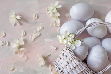 A basket with painted eggs and white flowers of a cherry tree on a light background. Easter still life in delicate colors.
