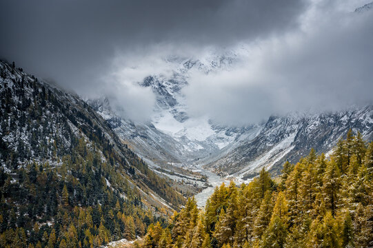 cloudy valley with larches at Arolla, Val d'Herens