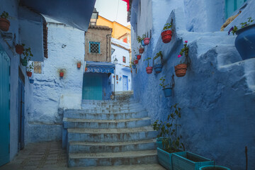 Fototapeta premium Colourful street scene of plant pots, blue steps and walls in the old town medina of Chefchaouen, situated in northwest Morocco and known as the Blue Pearl with its noted shades of blue.