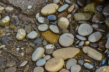 Multicolored round pebble stones on the Pacific Ocean in Olympic National Park, Washington