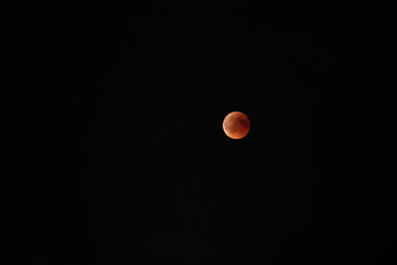 Blutmond
