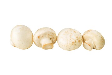 Group of champignon mushrooms on an isolated white background.