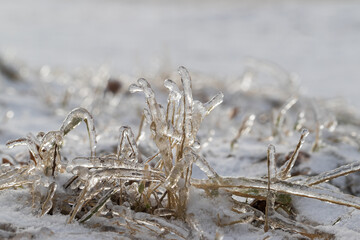 Grass covered with ice. There is snow in the meadow.
