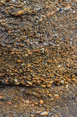 Clumping oval stones are washed away by water ashore in Olympic National Park