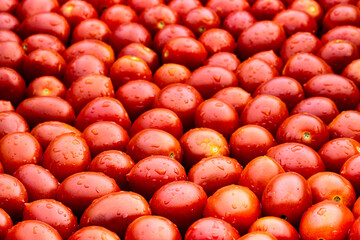 Tomatoes, fresh juicy and washed red cocktail tomatoes close-up.  - 412209798