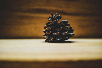 pine cone on wooden background