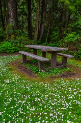 Fototapeta na wymiar Table and benches for resting tourists on the shores of the Pacific Ocean in Olympic National Park, Washington, USA