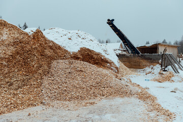 the sawdust conveyor works at a woodworking plant. production waste is dumped in a large pile. lumber remnants
