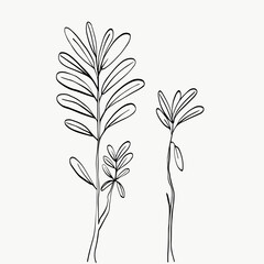 Botanical leaves line art. abstract modern or minimal plants line. perfect for home decor such as posters. vector illustrations design