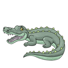 Alligator or crocodile. Animal illustration by digital painting. Cartoon style, indicate for childish material or scholar books. 
