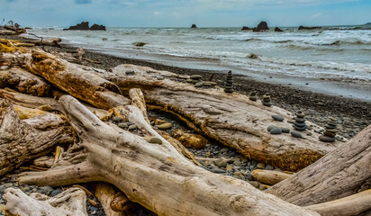Trunks of fallen trees at low tide on the Pacific Ocean in Olympic, National Park, Washington