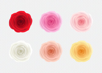 Roses Isolated Set Red Pink White Blush Yellow Vector
