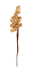 Golden decorative branch with berries isolated on white background © Elena