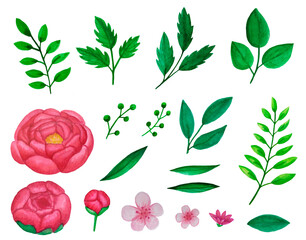 Floral Elements Set with Pink Peony Flowers and Leaves isolated