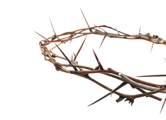 Crown of thorns isolated on white, closeup. Easter attribute