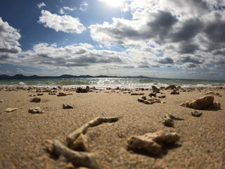 泡立つ波が迫る南国の砂浜