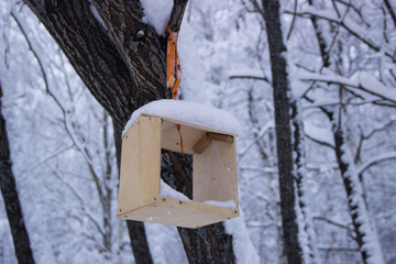 bird house in winter