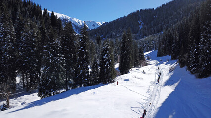 Active recreation of people in the mountains. Top view from the throne. A group of people walking along a trail in a snowy forest in the mountains. The trees cast shadows on the snow. Sunny day.