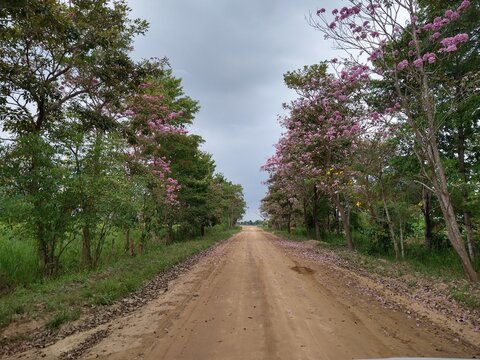 Una via de arauca en colombia