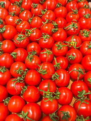 Red vegetable background from ripe cherry tomatoes with place for text.