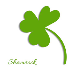 Cloverleaf on a green background. Silhouette of the magical plant. Decoration for St. Patrick's Day, trefoil, Shamrock. Hand drawn. Shadow can be removed. Irish