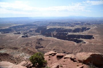Fototapeta na wymiar View from Island in the Sky in Canyonlands National Park