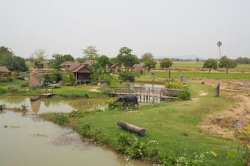 Farm and nature
