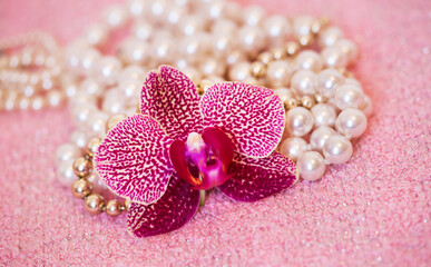 White pearls, female gift jewelry necklace and purple orchid flower on pink background