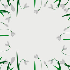 first spring flowers. snowdrop. frame