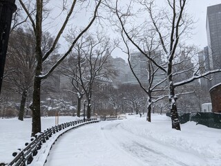 Battery Park in the Snow New York City 