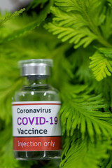 Background of Development and creation of a coronavirus vaccine COVID-19 in the Laboratory.(Covid-19 vaccine in the laboratory)