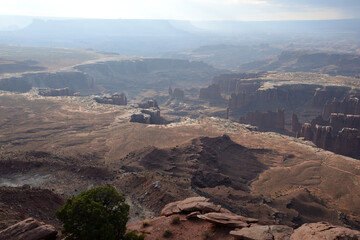View from Island in the Sky in Canyonlands National Park