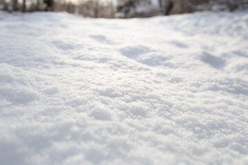 Snow texture. Winter background of snow and frost with free space for your decoration