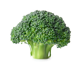 Fresh broccoli cabbage on white background