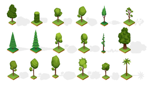 Collection isometric trees with shadow. Various type wood isolated on white background. Green plants elements for isometric landscape public park or garden. Vector icons for infographics or game