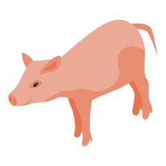 Farm pig icon. Isometric of farm pig vector icon for web design isolated on white background